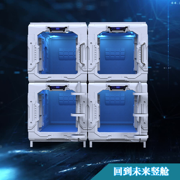 回到未来竖舱系列